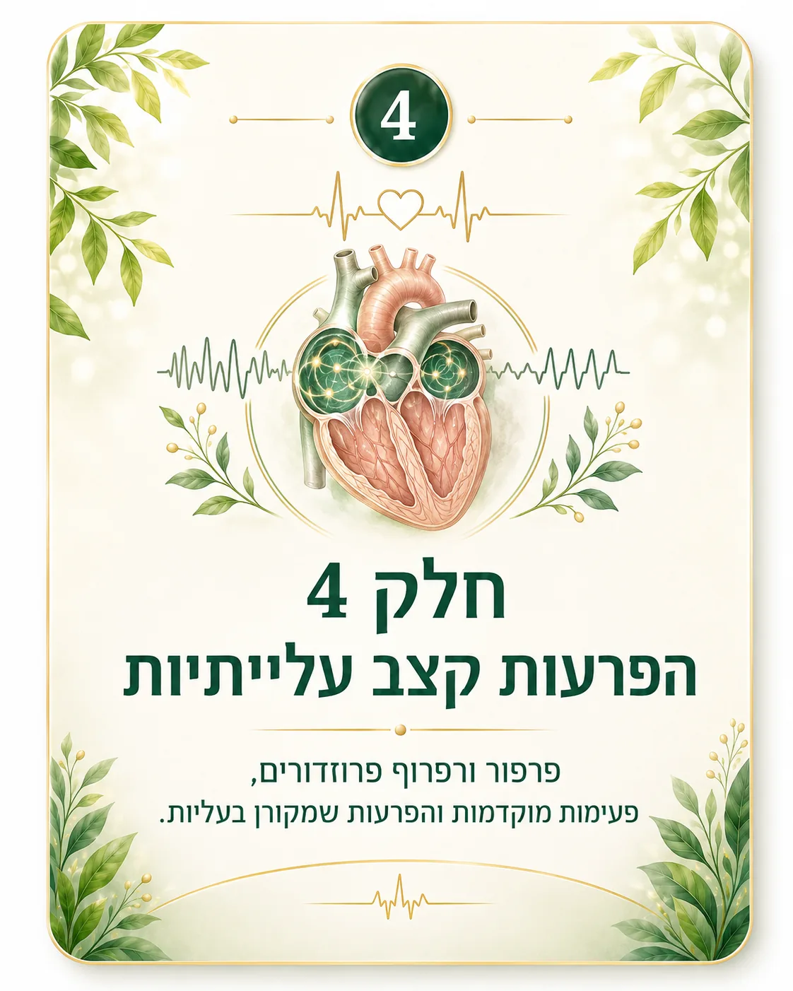 תמונת חלק 4