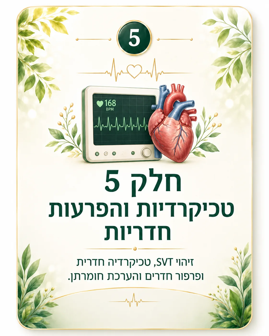 תמונת חלק 5