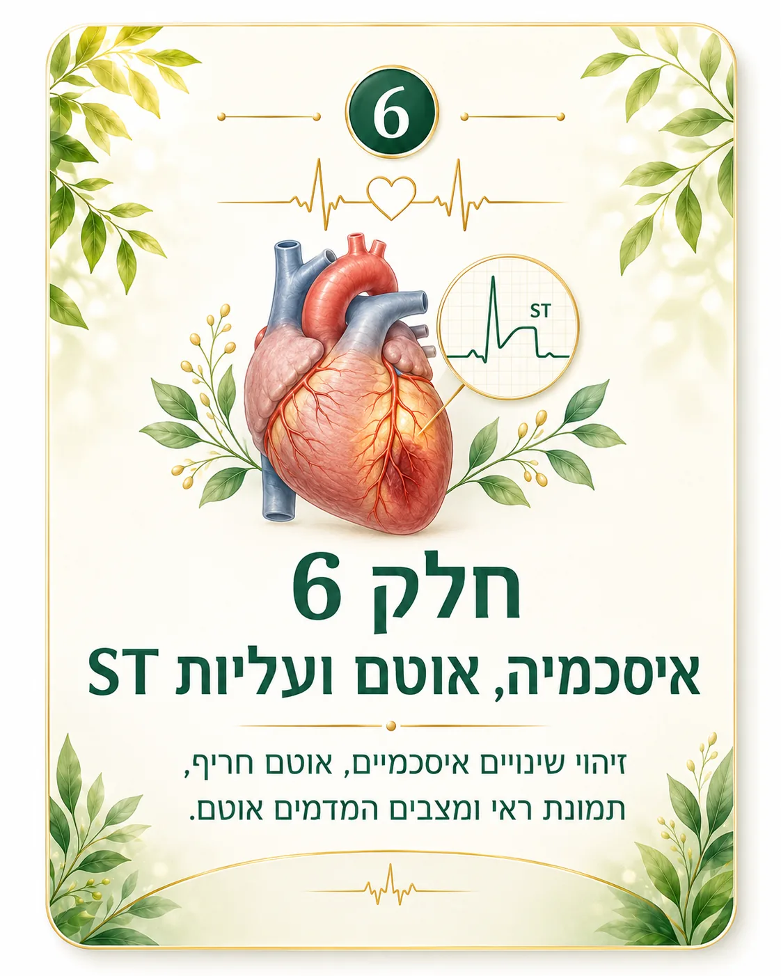 תמונת חלק 6