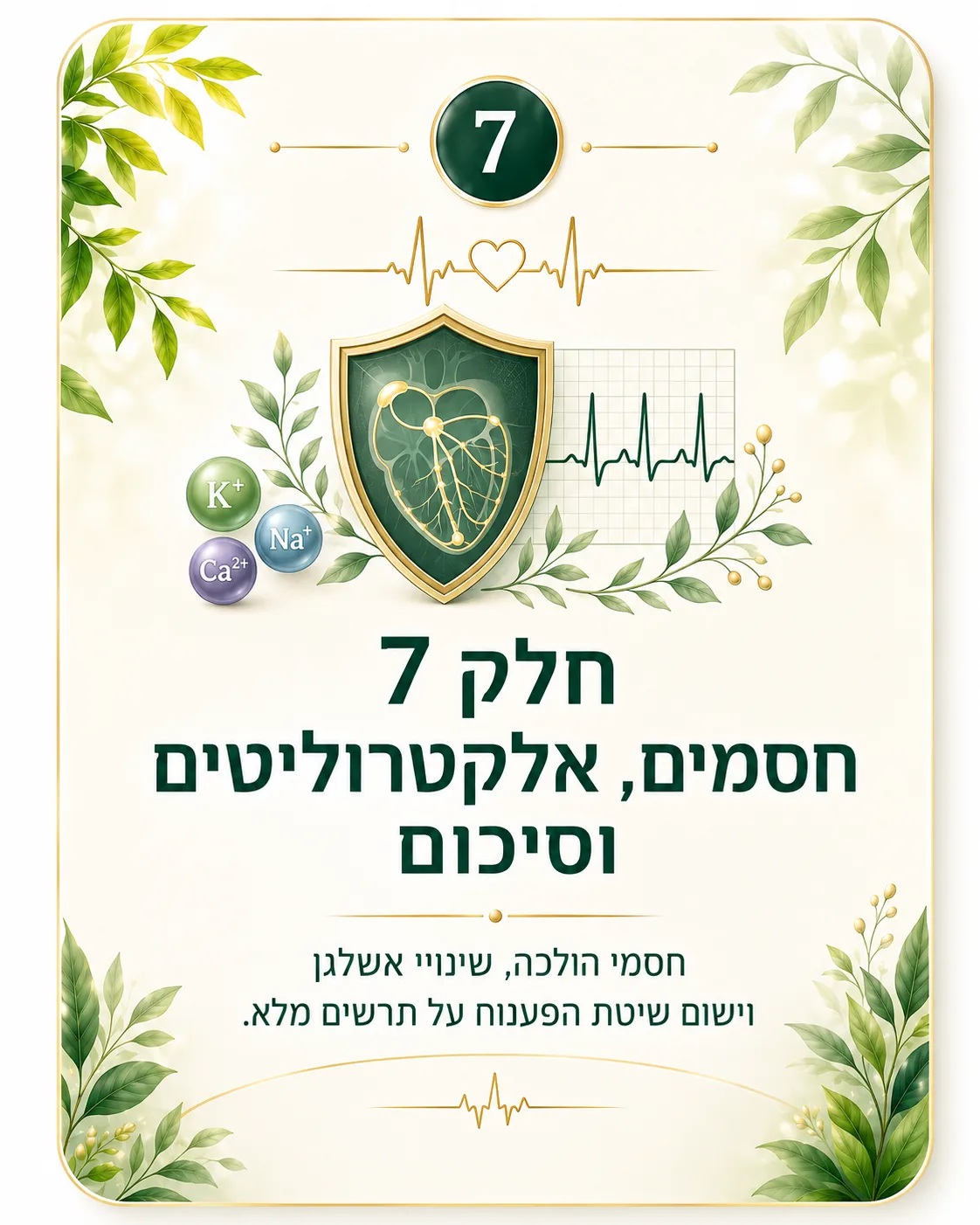 תמונת חלק 7